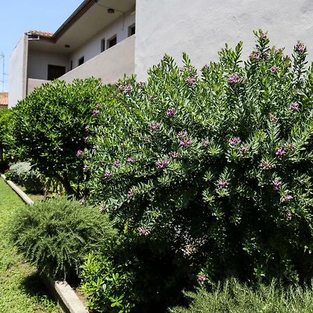Yannis Apartments Afytos Exteriér fotografie