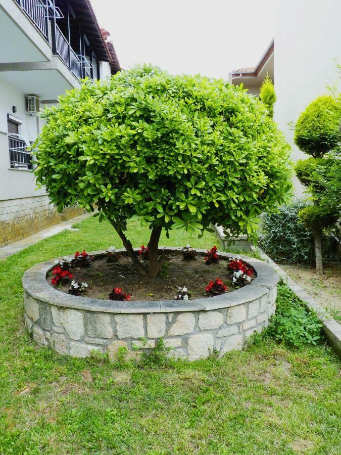 Yannis Apartments Afytos Exteriér fotografie